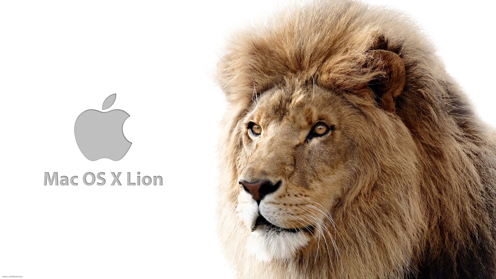How to upgrade to os x lion for free online
